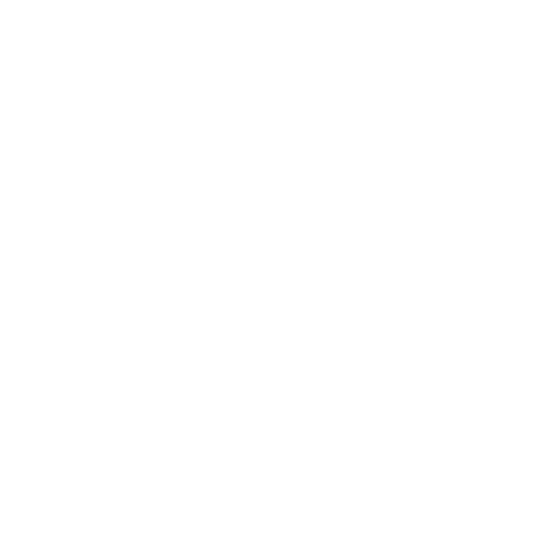 flower2